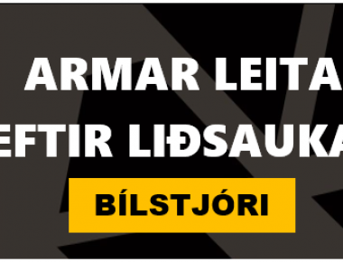 Bilstjori jan 2024